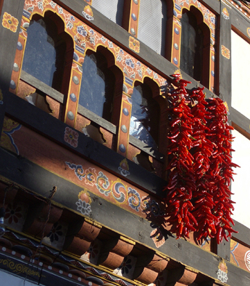 drying peppers